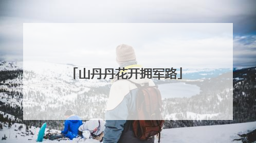 山丹丹花开拥军路
