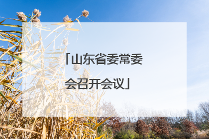 山东省委常委会召开会议