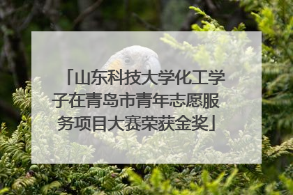 山东科技大学化工学子在青岛市青年志愿服务项目大赛荣获金奖