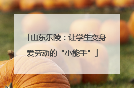 山东乐陵：让学生变身爱劳动的“小能手”
