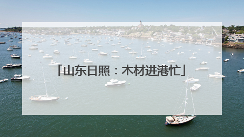 山东日照：木材进港忙