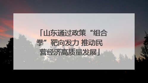 山东通过政策“组合拳”靶向发力 推动民营经济高质量发展