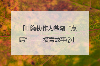 山海协作为盐湖“点睛”——援青故事⑦