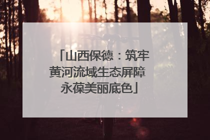 山西保德：筑牢黄河流域生态屏障 永葆美丽底色