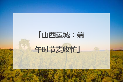 山西运城：端午时节麦收忙