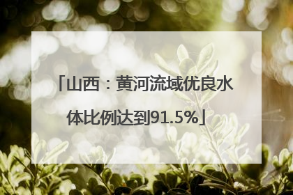 山西：黄河流域优良水体比例达到91.5%