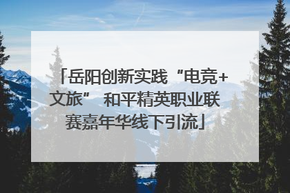 岳阳创新实践“电竞+文旅” 和平精英职业联赛嘉年华线下引流