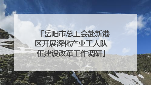 岳阳市总工会赴新港区开展深化产业工人队伍建设改革工作调研