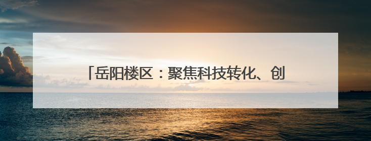 岳阳楼区：聚焦科技转化、创新民生服务、拓展国际赛道