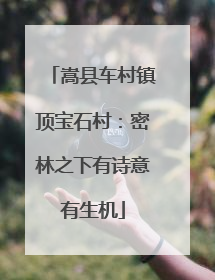 嵩县车村镇顶宝石村：密林之下有诗意有生机