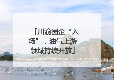 川渝国企“入场”，油气上游领域持续开放