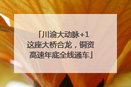 川渝大动脉+1 这座大桥合龙，铜资高速年底全线通车