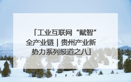 工业互联网“赋智”全产业链｜贵州产业新势力系列报道之八