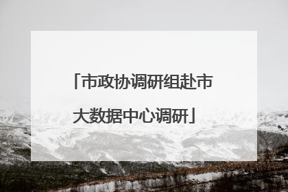 市政协调研组赴市大数据中心调研