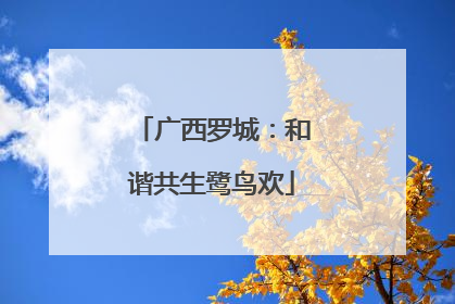 广西罗城：和谐共生鹭鸟欢