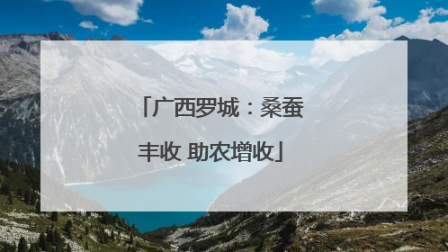 广西罗城：桑蚕丰收 助农增收