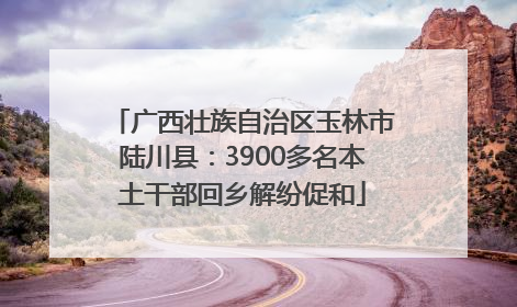 广西壮族自治区玉林市陆川县：3900多名本土干部回乡解纷促和