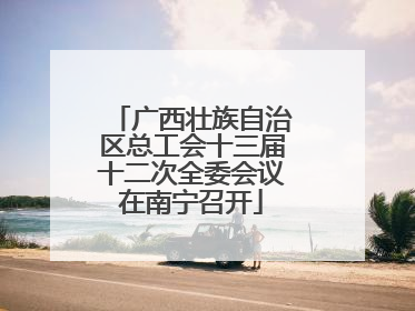 广西壮族自治区总工会十三届十二次全委会议在南宁召开
