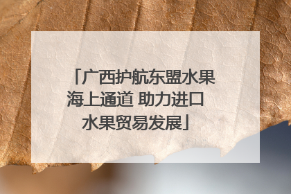 广西护航东盟水果海上通道 助力进口水果贸易发展