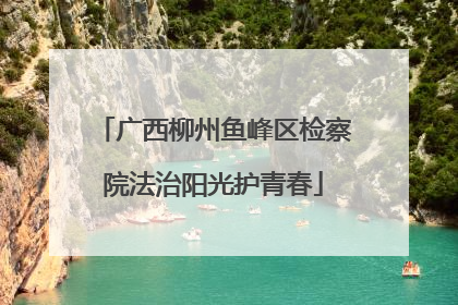 广西柳州鱼峰区检察院法治阳光护青春