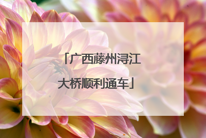 广西藤州浔江大桥顺利通车