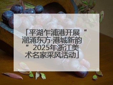 平湖乍浦港开展“潮涌东方·港城新韵”2025年浙江美术名家采风活动