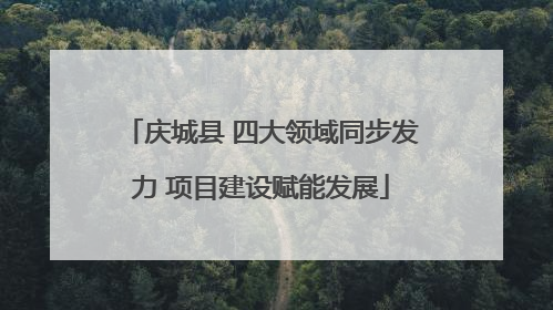 庆城县 四大领域同步发力 项目建设赋能发展