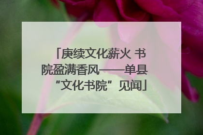 庚续文化薪火 书院盈满香风——单县“文化书院”见闻