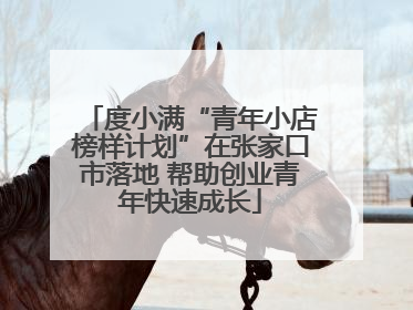 度小满“青年小店榜样计划”在张家口市落地 帮助创业青年快速成长
