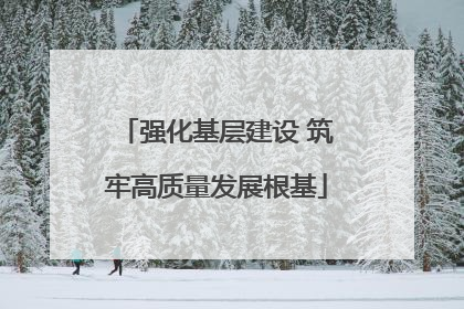 强化基层建设 筑牢高质量发展根基