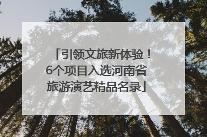 引领文旅新体验！6个项目入选河南省旅游演艺精品名录