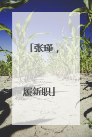 张瑾，履新职