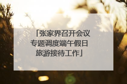 张家界召开会议专题调度端午假日旅游接待工作
