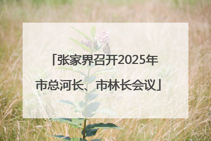 张家界召开2025年市总河长、市林长会议