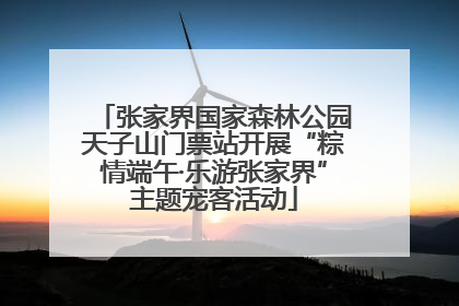 张家界国家森林公园天子山门票站开展“粽情端午·乐游张家界”主题宠客活动