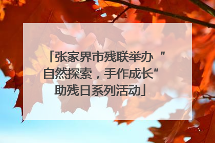 张家界市残联举办“自然探索，手作成长”助残日系列活动