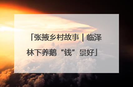 张掖乡村故事｜临泽林下养鹅“钱”景好