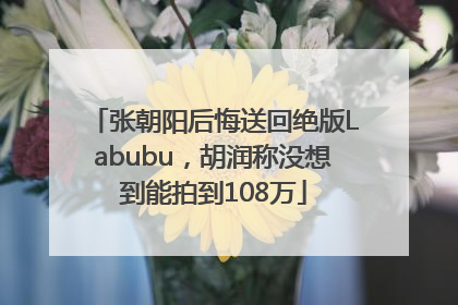 张朝阳后悔送回绝版Labubu，胡润称没想到能拍到108万