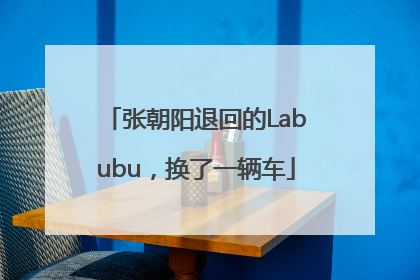 张朝阳退回的Labubu，换了一辆车