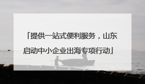 提供一站式便利服务，山东启动中小企业出海专项行动