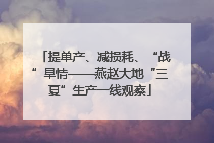 提单产、减损耗、“战”旱情——燕赵大地“三夏”生产一线观察
