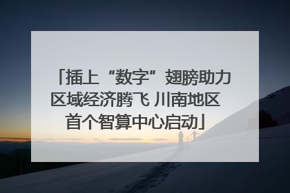 插上“数字”翅膀助力区域经济腾飞 川南地区首个智算中心启动