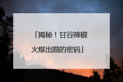 揭秘！甘谷辣椒火爆出圈的密码
