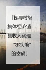 探寻村级集体经济销售收入实现“零突破”的密码