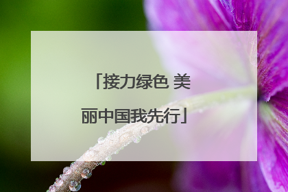 接力绿色 美丽中国我先行