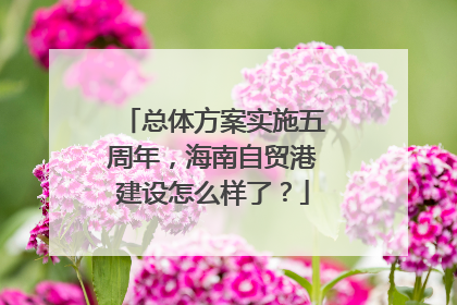 总体方案实施五周年，海南自贸港建设怎么样了？