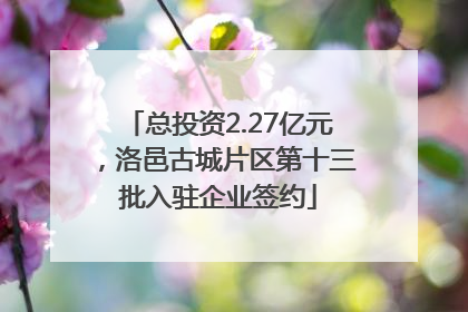 总投资2.27亿元，洛邑古城片区第十三批入驻企业签约
