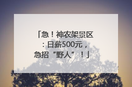 急！神农架景区：日薪500元，急招“野人”！