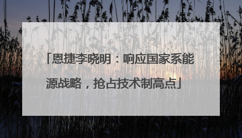恩捷李晓明：响应国家系能源战略，抢占技术制高点