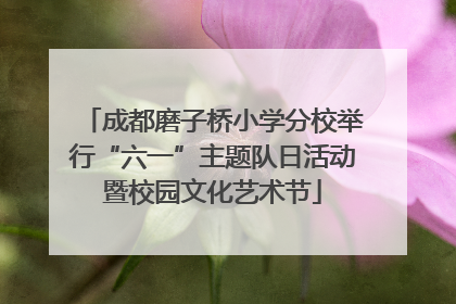 成都磨子桥小学分校举行“六一”主题队日活动暨校园文化艺术节